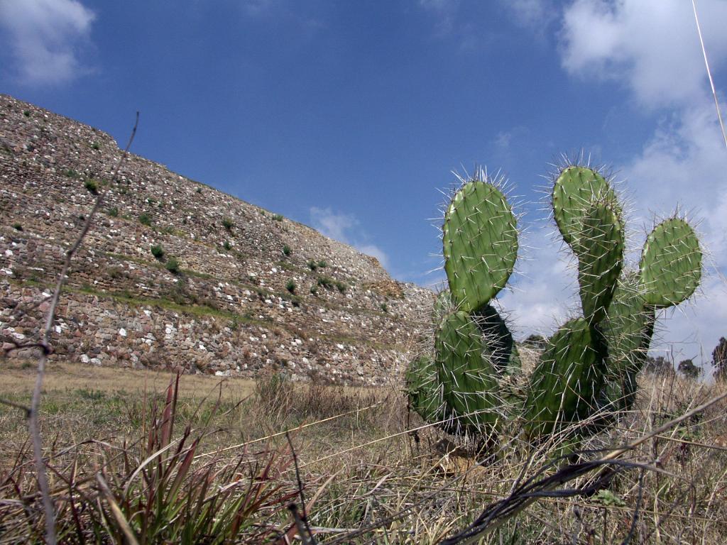 100213_Cacaxtla 151.JPG